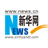 新华网 新华网评